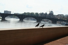 picture-0005