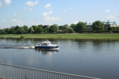 picture-0010