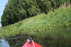 picture-0012