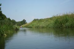 picture-0018