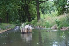 picture-0037