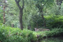 picture-0041